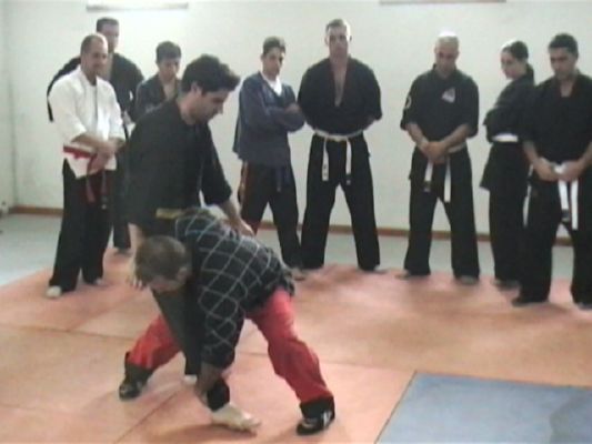 Seminar - Takedowns 